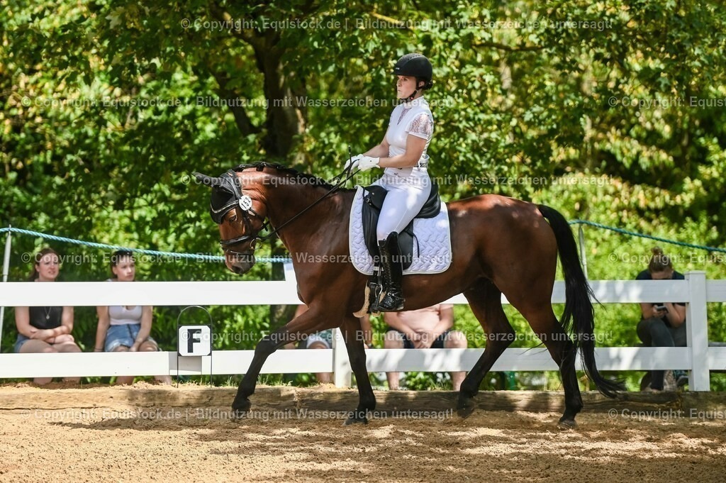20230715_02_Dressurreiterprüfung Kl.L_0202 | equistock