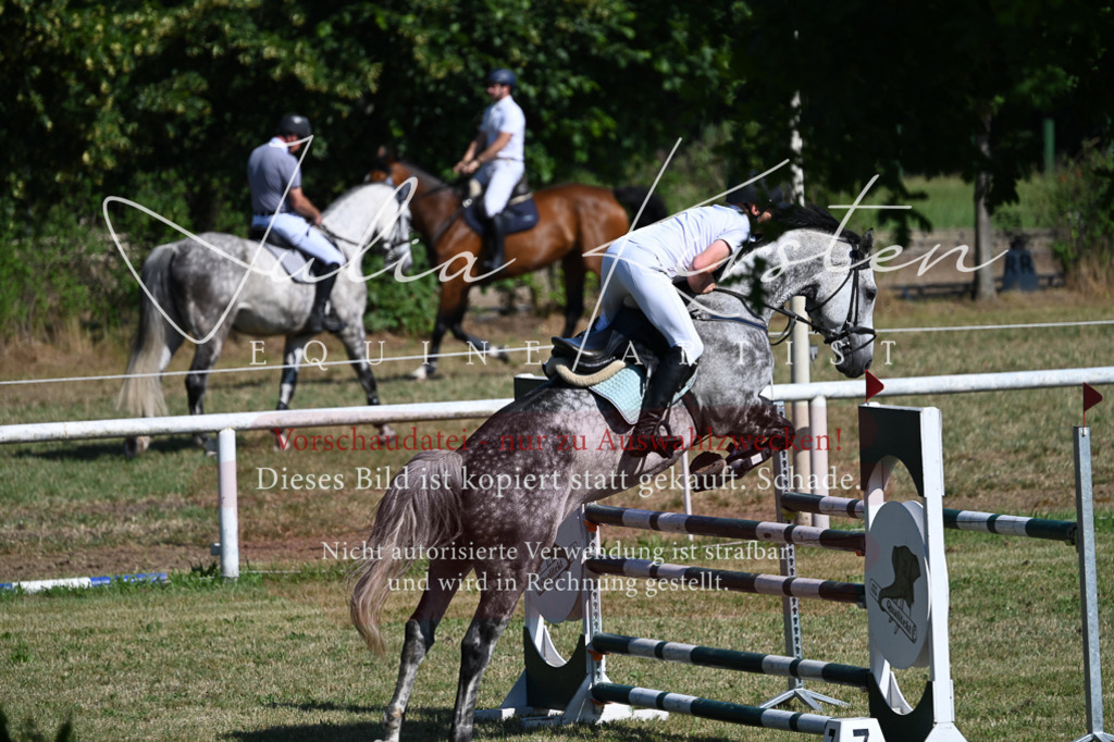 DSC_1870 | Pferde- und Turnierfotografie in Westsachsen. Pferdeportraits, Auftragszeichnungen und intuitive Kunst.