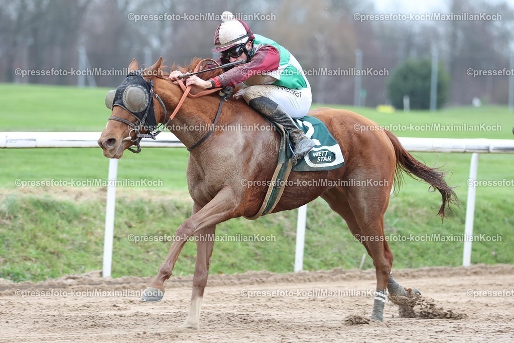 Do15122403006 | Kalajana siegt unter Robin Weber am 15.12.2024 Renntag in Dortmund. Copyright by Marc Ruehl - Veroeffentlichung nur gegen Honorar (zzgl.MwSt), Namensnennung und Beleg, Bank Routing Number: BIC GENODED1PAF, Bank Account Number: IBAN DE04 3706 2600 1201 6180 17, Steuer-Nr.: 203/5266/0306, Ust_Id_Nr.: De 122081417, Zur Gaulshuette 29, 50181 Bedburg, Phone: +49-(0)2272-83351, www.marcruehl.com, info@marcruehl.com, No Model Release, Abtretung von Persoenlichkeitsrechten der abgebildeten Person/Personen liegen nicht vor. Speichern in Bilddatenbanken oder Vervielfaeltigung ist ohne schriftliche Genehmigung nicht gestattet.