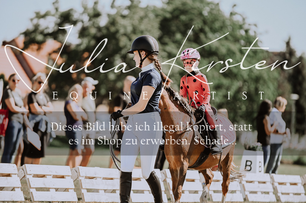 DSC_8870 | Pferde- und Turnierfotografie in Westsachsen. Pferdeportraits, Auftragszeichnungen und intuitive Kunst.