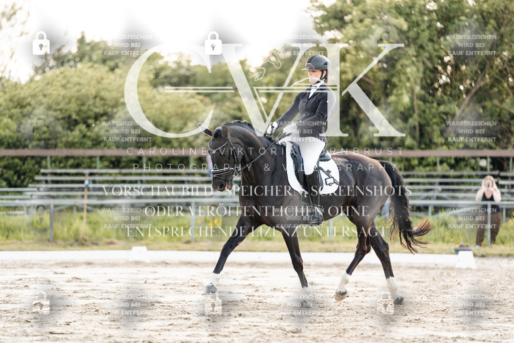 CK909405 | Turnierfotografie Pferdefotografie Trier Rheinland-Pfalz Pferdesport Reitsport Tierfotografie Sportfotografie Pferdevideo Pferdevideografie Equestrianvideography equestrianphotography  - Realisiert mit Pictrs.com