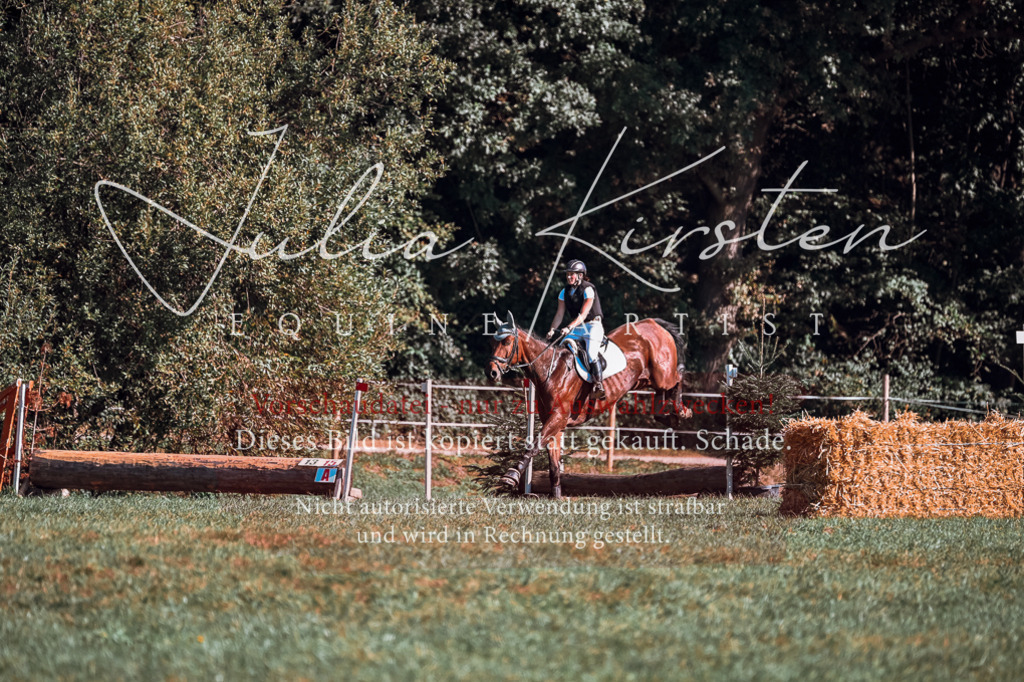DSC_1001 | Pferde- und Turnierfotografie in Westsachsen. Pferdeportraits, Auftragszeichnungen und intuitive Kunst.
