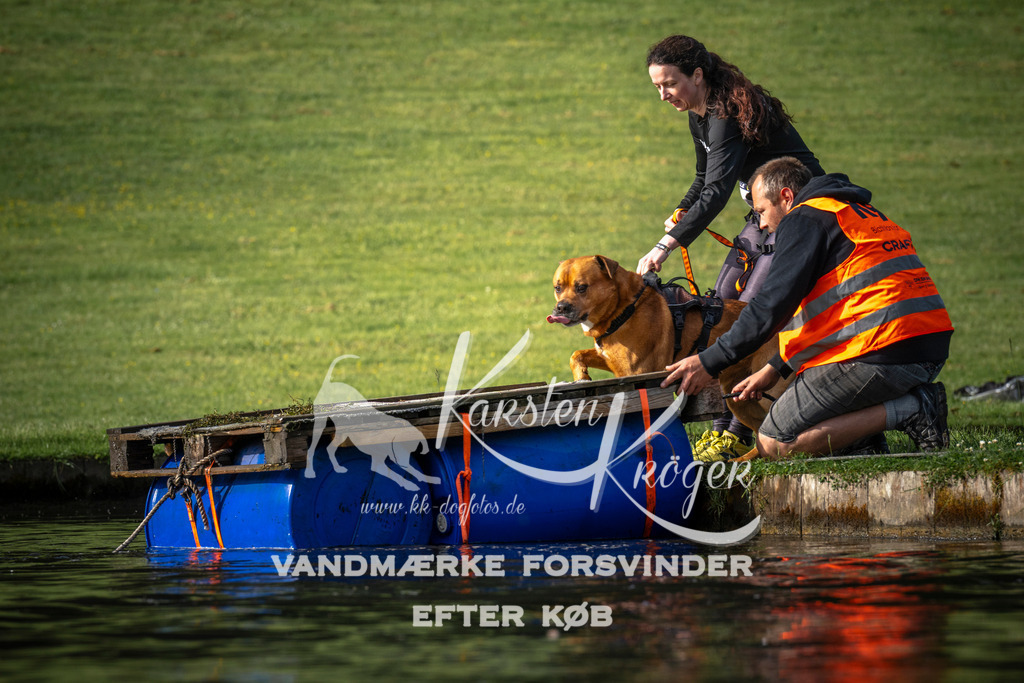 _ZZ942570714 | kk-dogfotos