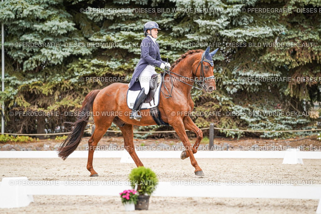 DSC05846 | Pferdegrafie