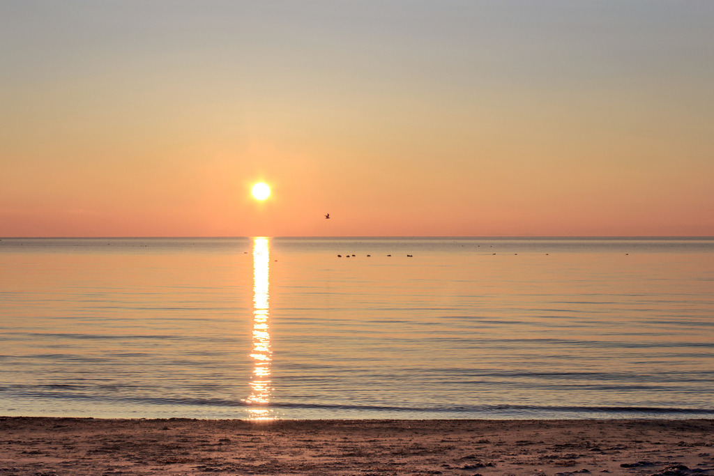 Wandbild: Sonnenaufgang an der Ostsee in Damp | Sonnenaufgang am Meer in Damp. Am Horizont ist die Sonne gut zu erkennen. Der Himmel leuchtet bereits in einem dezenten Rotton der sich auf dem Meer spiegelt. Die Sonnenstrahlen direkt an der Sonne sind gut zu erkennen.  - Realisiert mit Pictrs.com