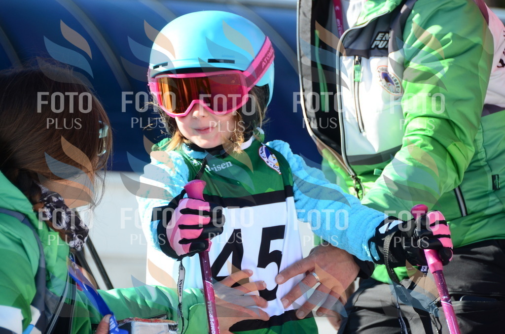 C5103 | holidayphoto