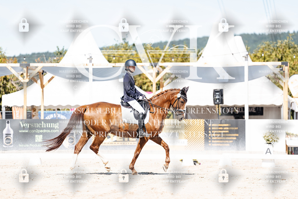 CK909364 | Turnierfotografie Pferdefotografie Trier Rheinland-Pfalz Pferdesport Reitsport Tierfotografie Sportfotografie Pferdevideo Pferdevideografie Equestrianvideography equestrianphotography  - Realisiert mit Pictrs.com