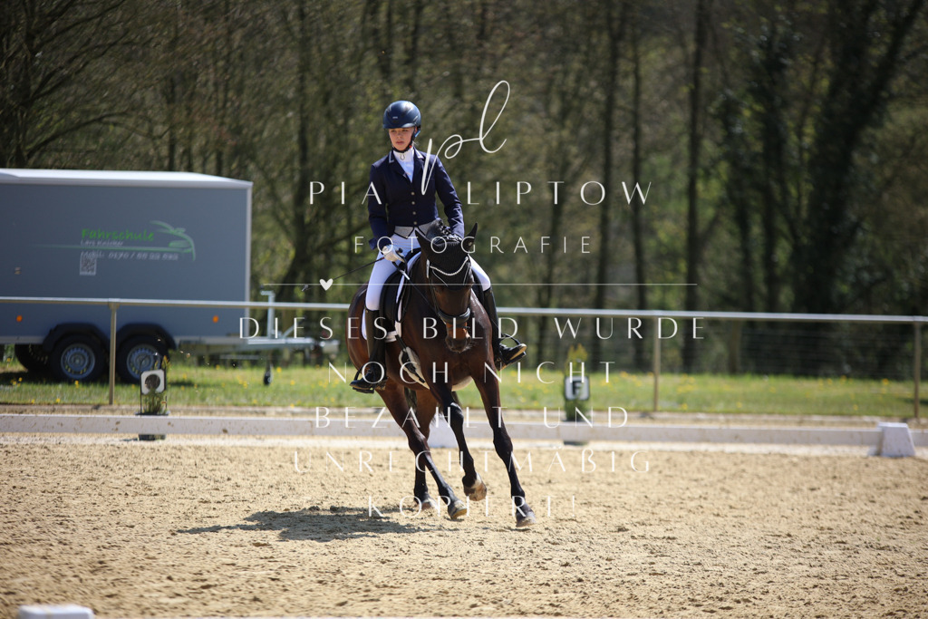 IMGT7090 | pl-fotografie