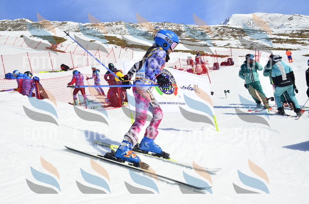 _ELE0760 | holidayphoto