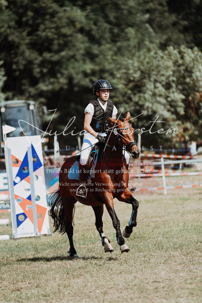 DSC_9967 | Pferde- und Turnierfotografie in Westsachsen. Pferdeportraits, Auftragszeichnungen und intuitive Kunst.