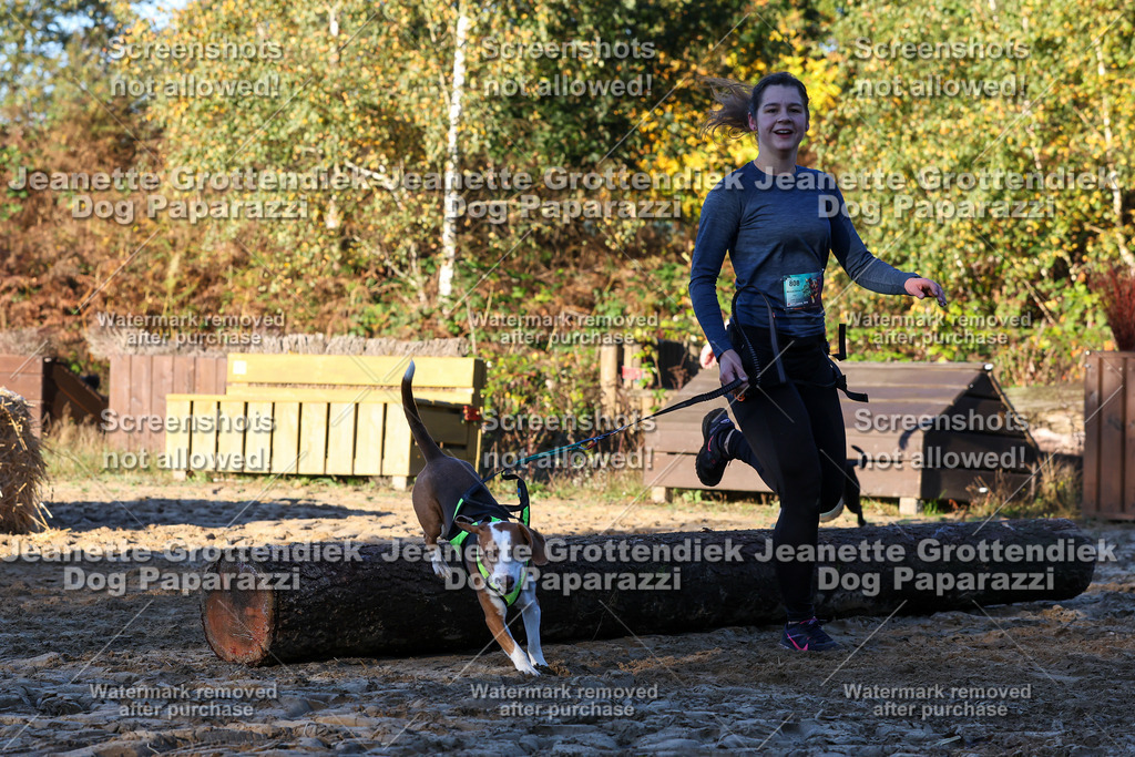 Dog Paparazzi - Strongdog 10-25-872 | Dog Paparazzi Jeanette Grottendiek Fotografie & Videografie - Realisiert mit Pictrs.com