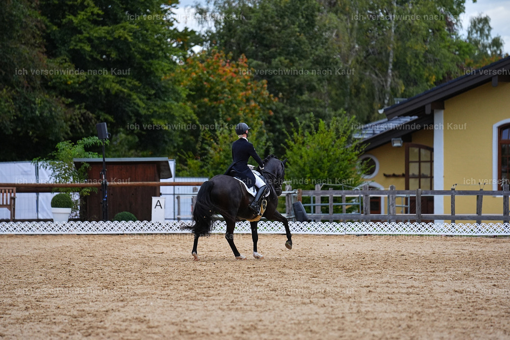 8_1-212-Klasse S_  -Marixx-4275 | working equitationturnier fotograf videograf stoibphotography marixx film working equitation deutschland reitsport turnierfotografie eventfotografie equestrian events