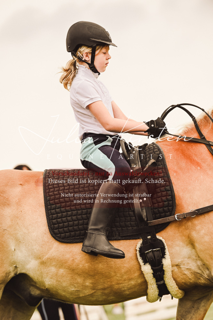 DSC_5258 | Pferde- und Turnierfotografie in Westsachsen. Pferdeportraits, Auftragszeichnungen und intuitive Kunst.