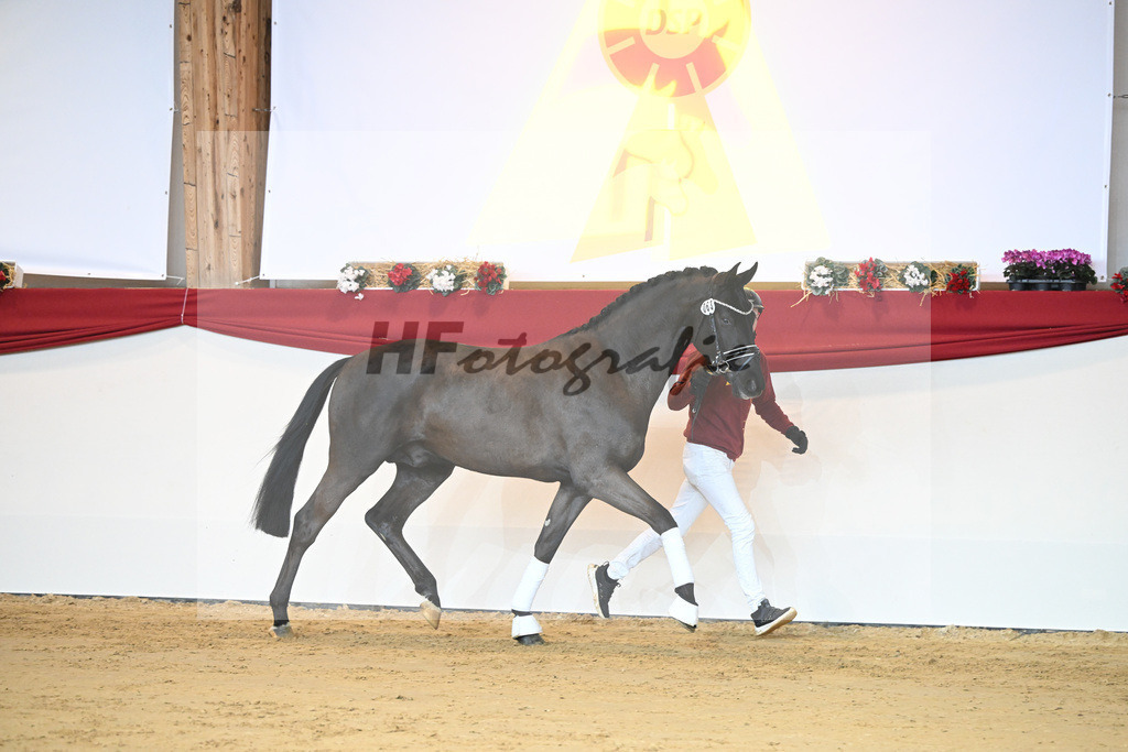 Kat-Nr. 63 Marc Cain_Rueben_1231436 | hf-fotografie - Realisiert mit Pictrs.com