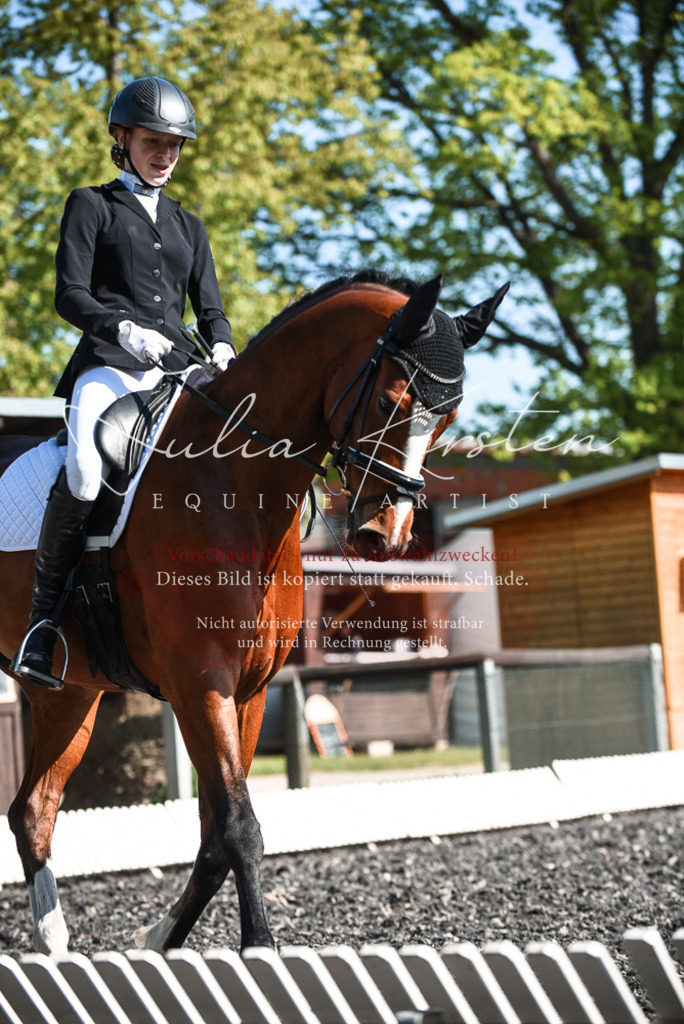 DSC_8663 | Pferde- und Turnierfotografie in Westsachsen. Pferdeportraits, Auftragszeichnungen und intuitive Kunst.