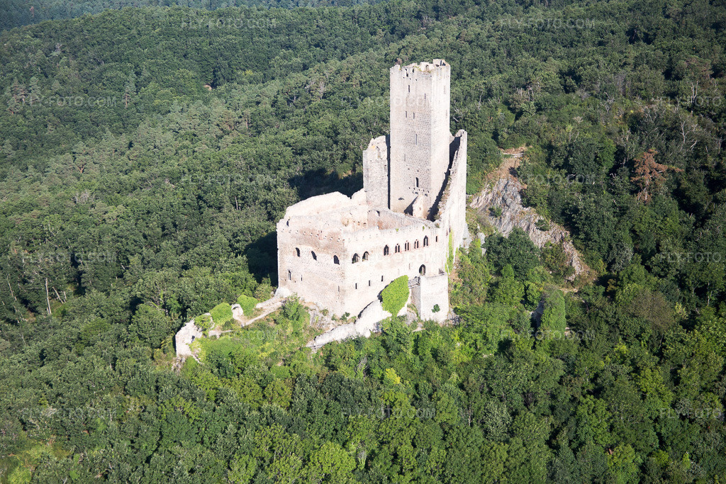 Aerial view: L'Ortenbourg in Scherwiller in the state Bas-Rhin, France.Photo: IMG_093280.jpg taken on 08/16/2016 by Werner Riehm/FLY-FOTO.comResolution of the original: 5472 x 3648 px