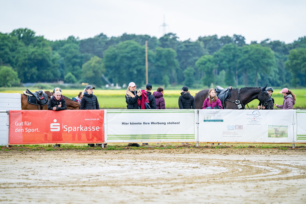 DSC01083 | Pferdegrafie