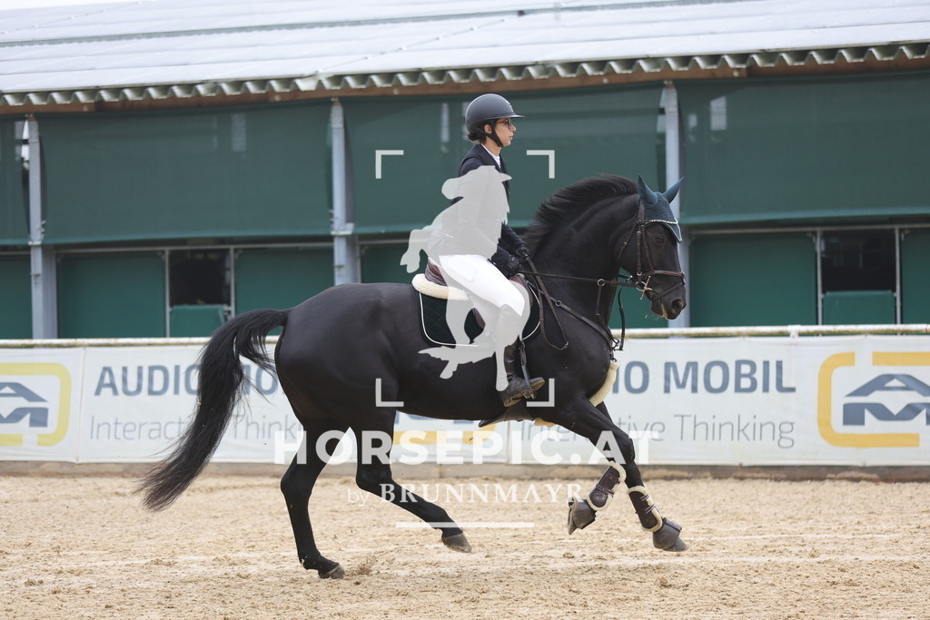 0P6A0844 | Willkommen bei Brunnmayr - Design & Fotografie – Ihrem Spezialisten für Reitturniere und Pferdeveranstaltungen in Oberösterreich, Salzburg und Bayern! Seit über 17 Jahren sind wir leidenschaftlich dabei.