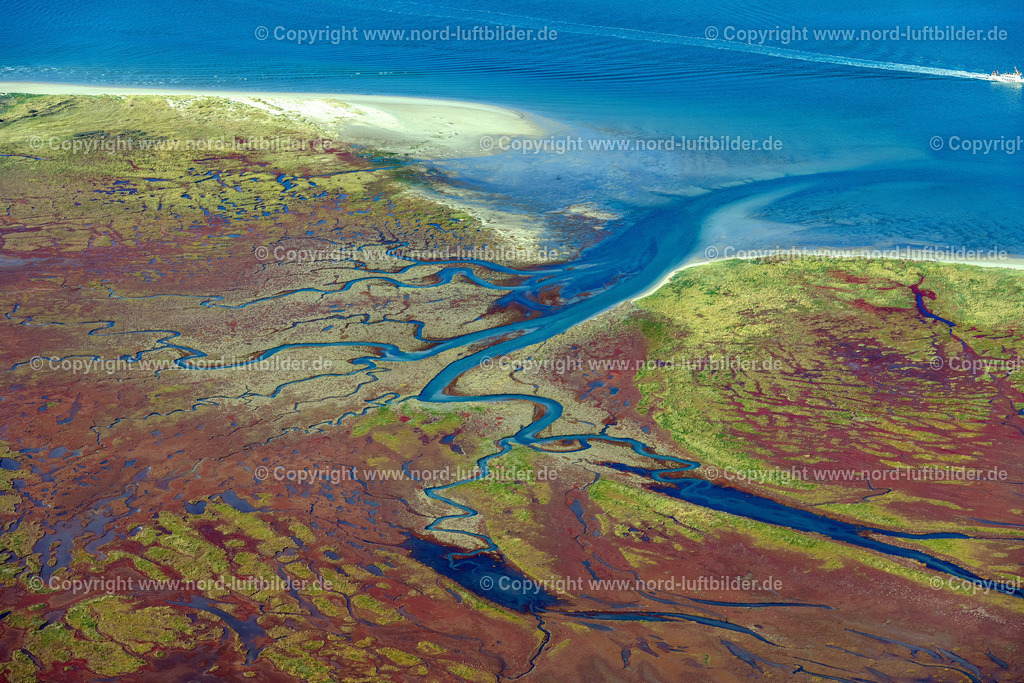 Memmert_ELS_5789091022 | JUIST 09.10.2022 Kurvenförmige Schleifen mehrerer Fluss- Verläufe auf der grünen naturgeschützten Nordsee- Insel Memmert bei Juist mit Wattenmeer und vorgelagerter Sandbank Kachelotplate im Bundesland Niedersachsen. // Curved loops of several converging rivers flowing into the Wadden Sea on the green environmentally protected North Sea island Memmert in Juist and the sandbank Kachelotplate in the state Lower Saxony. Foto: Martin Elsen