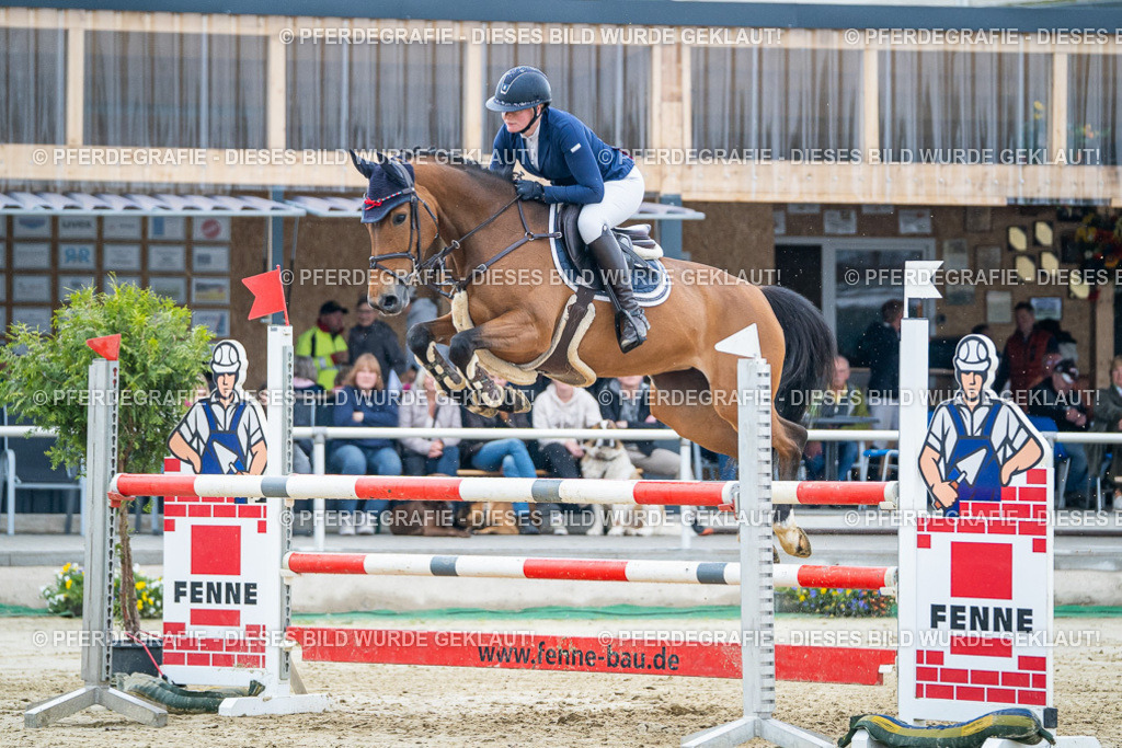 DSC01865 | Pferdegrafie