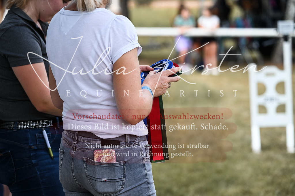 DSC_8747 | Pferde- und Turnierfotografie in Westsachsen. Pferdeportraits, Auftragszeichnungen und intuitive Kunst.
