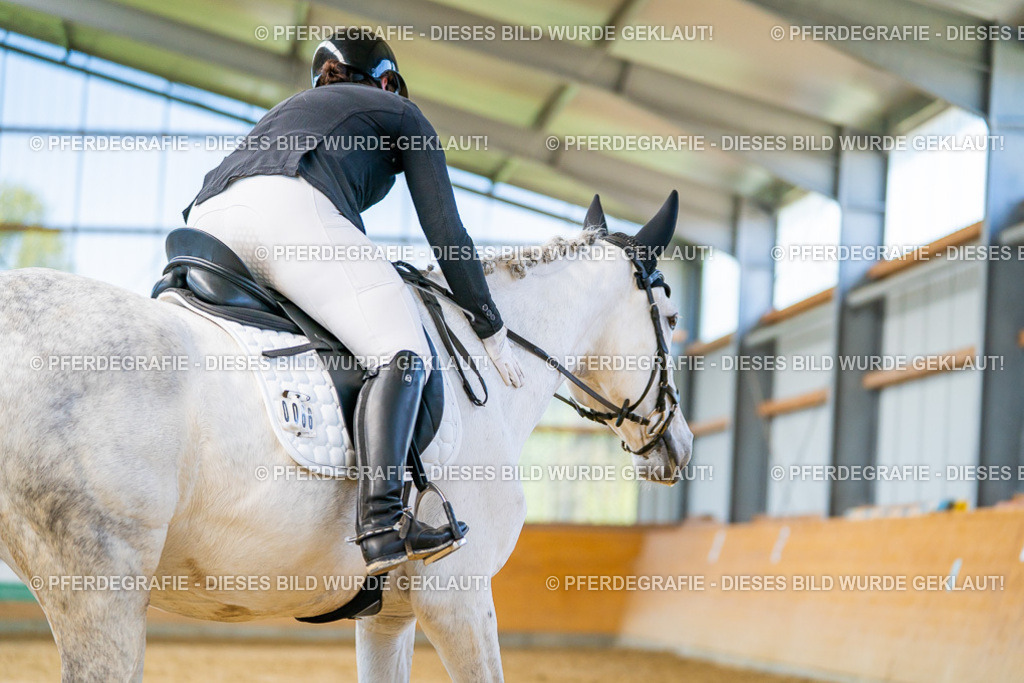 DSC07895 | Pferdegrafie