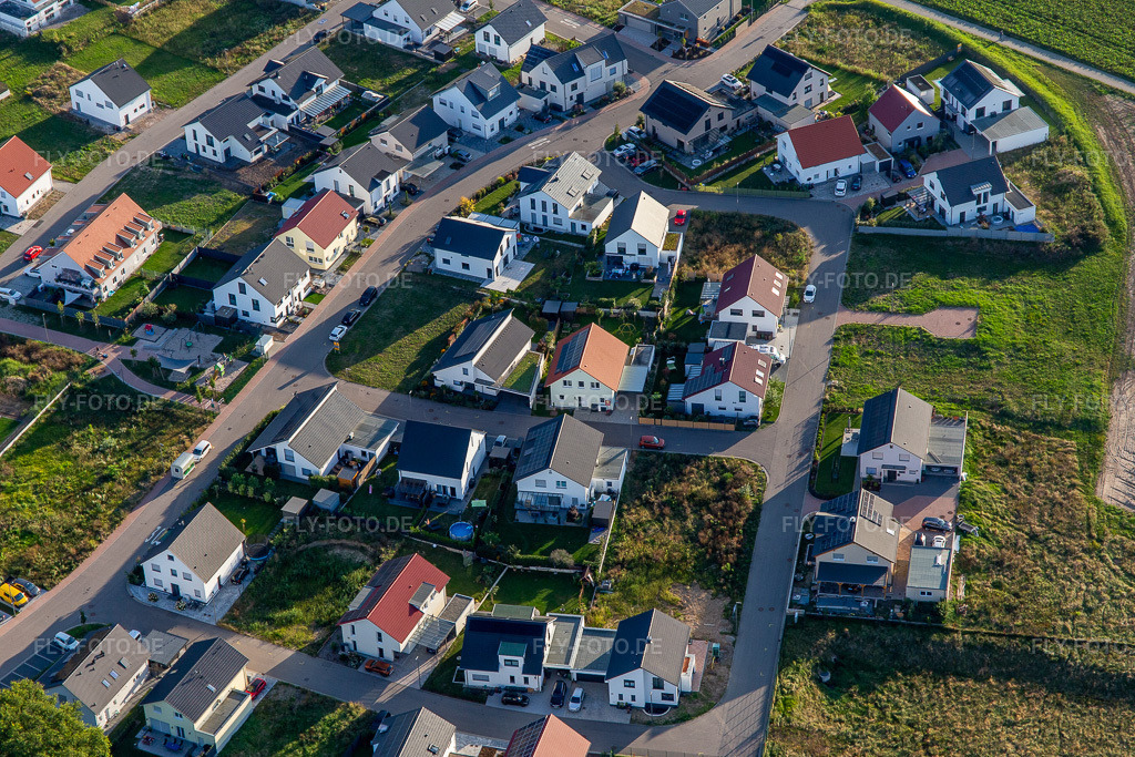 Luftbild: Narzissenweg in Kandel im Bundesland Rheinland-Pfalz in Deutschland. Foto: IMG_143269.jpg vom 25.08.2024 durch Werner Riehm/FLY-FOTO.de