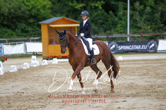 DKP47614 | Turniersportfotografie; Pferdefotografie; Dressurfotografie