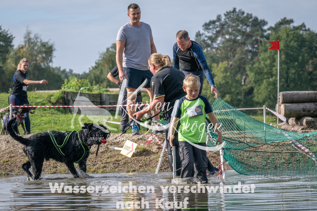 1152_ZZ94483 | kk-dogfotos