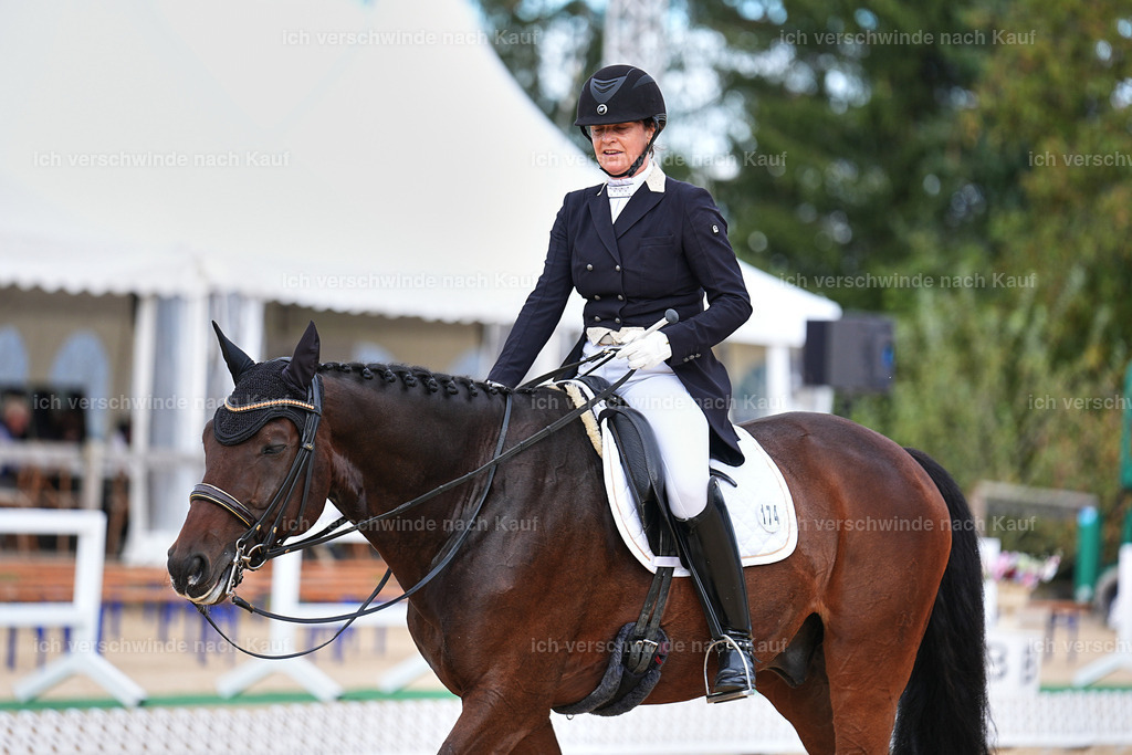 6-174-AMATUER-DRESSUR S_  -Marixx-3713 | working equitationturnier fotograf videograf stoibphotography marixx film working equitation deutschland reitsport turnierfotografie eventfotografie equestrian events