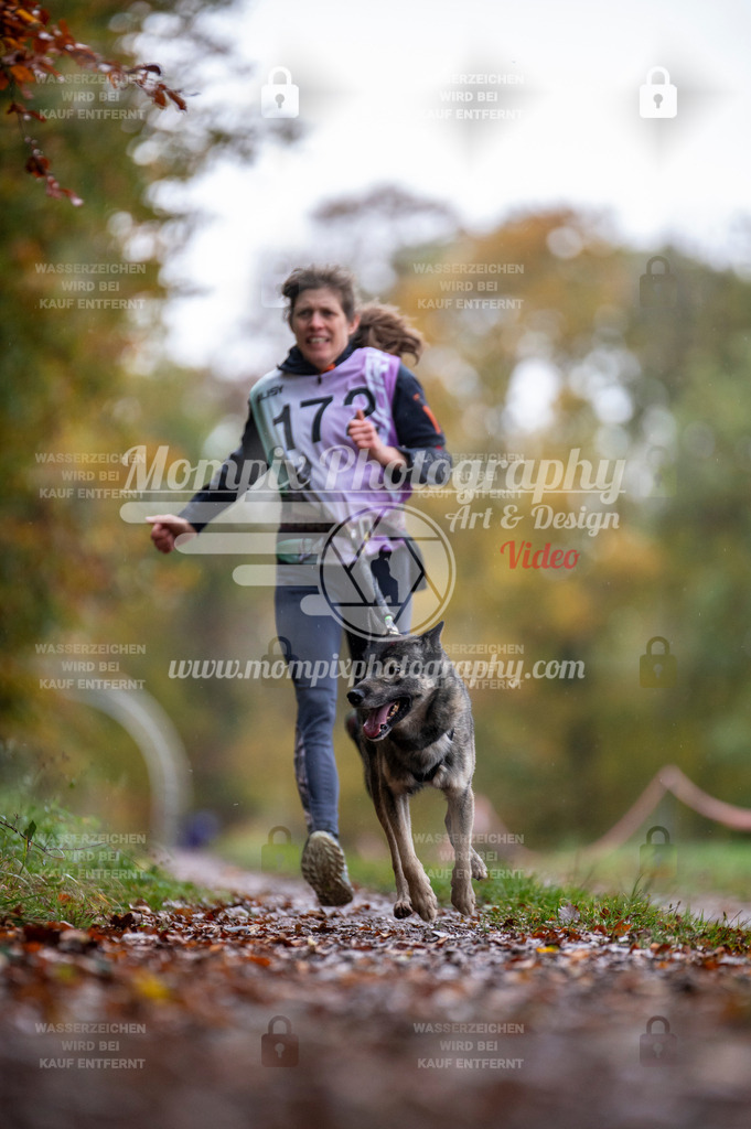 DBT_DAKM_SA_4_11_2023_Canicross-121 | PayLife