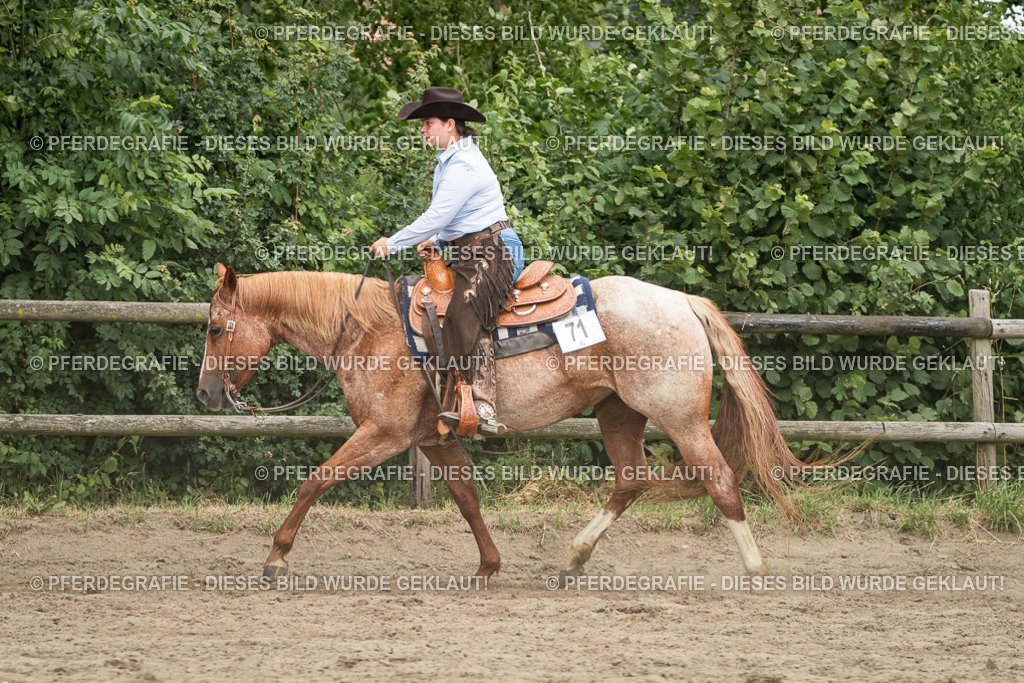 DSC04215 | Pferdegrafie