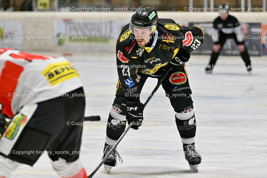 EC MET PHOTOVOLTAIK HORNETS SPITTAL vs. EV ZELTWEG MURTAL LIONS | #23 Sodja Urban EC Hornets Spittal, EC MET PHOTOVOLTAIK HORNETS SPITTAL vs. EV ZELTWEG MURTAL LIONS, EC MET PHOTOVOLTAIK HORNETS SPITTAL vs. EV ZELTWEG MURTAL LIONS am 08.02.2026 in Spittal an der Drau (Eissportzentrum Spittal), Austria, (Photo by Bernd Stefan)