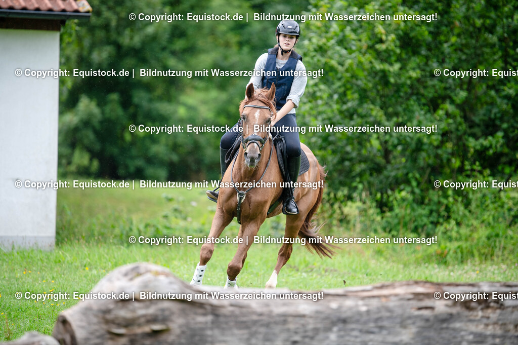 20250725_Vielseitigkeitslehrgang-Marbach_0391 | Foto: Thomas Hartig