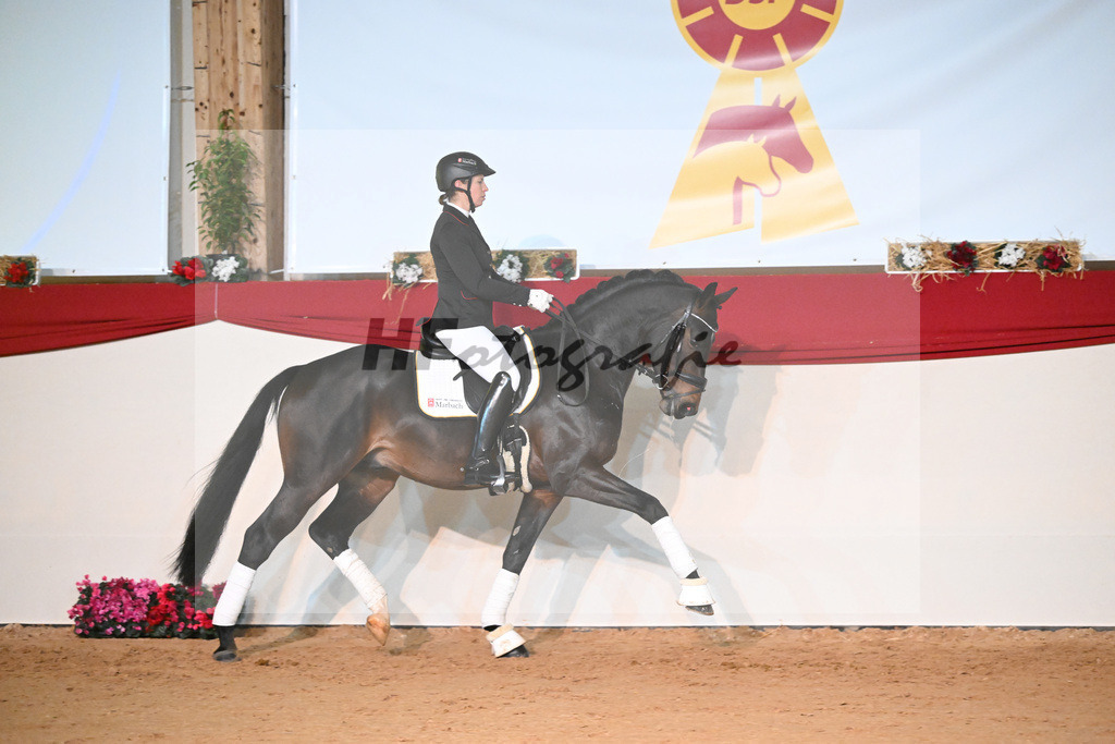 Descartes_1234242 | hf-fotografie - Realisiert mit Pictrs.com