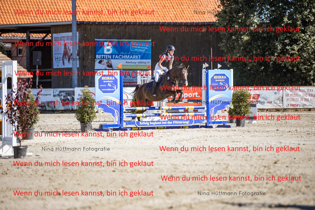 BK1A8031 | Turnierbilder Turnierfotos Nina Hüffmann Turnierfotografie Pferdefotografie Tierzeichnung Haustierzeichnung Pferdezeichnung Hundezeichnung Videograf  - Realisiert mit Pictrs.com