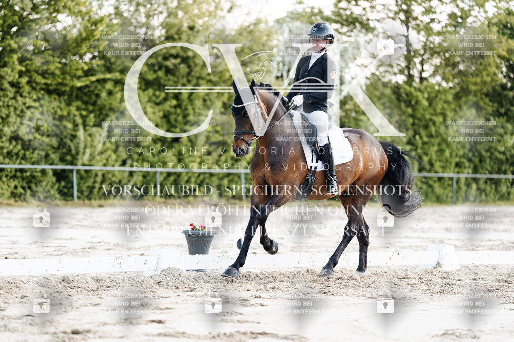 CK909596 | Turnierfotografie Pferdefotografie Trier Rheinland-Pfalz Pferdesport Reitsport Tierfotografie Sportfotografie Pferdevideo Pferdevideografie Equestrianvideography equestrianphotography  - Realisiert mit Pictrs.com