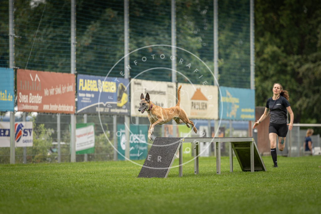 Pfotenfotografie_DV3A8420 | Hundefotografie, Tierfotograf, Pfotenfotografie, Fotoshooting Hund, Hunde Portrait, Hundesport, Hundeportraits, Heideshooting, Hunde, Sportfotograf, Hundefotograf, Turnierhundsport, THS,  - Realisiert mit Pictrs.com