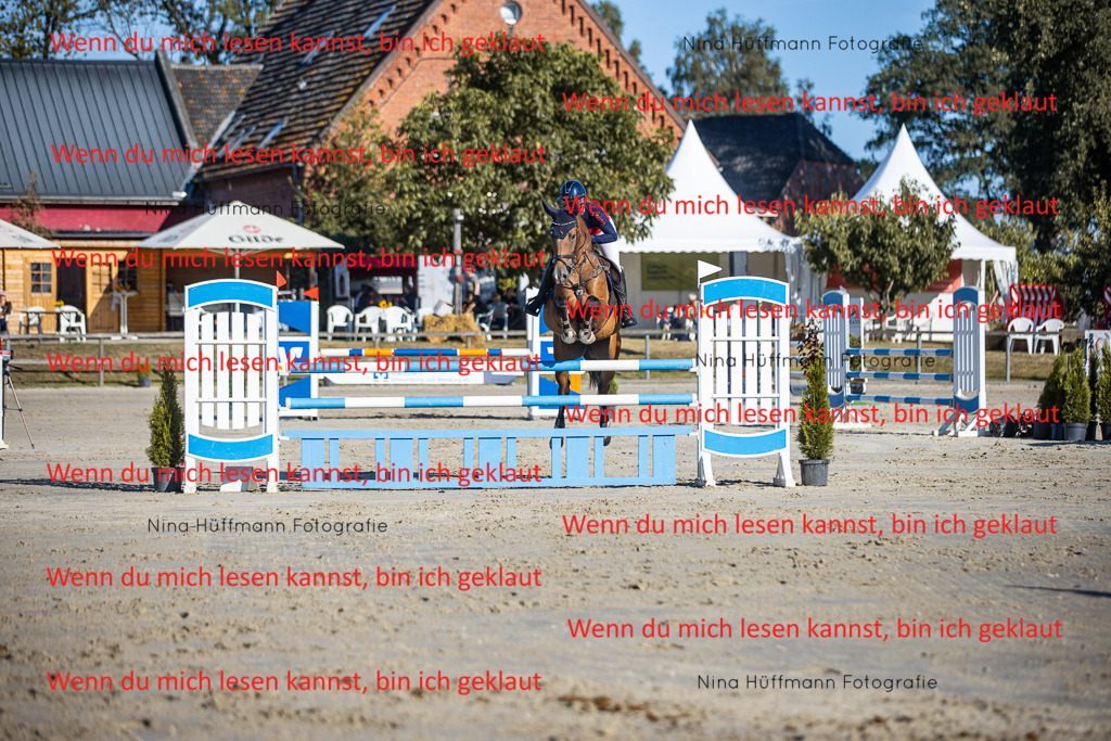 BK1A6039 | Turnierbilder Turnierfotos Nina Hüffmann Turnierfotografie Pferdefotografie Tierzeichnung Haustierzeichnung Pferdezeichnung Hundezeichnung Videograf  - Realisiert mit Pictrs.com