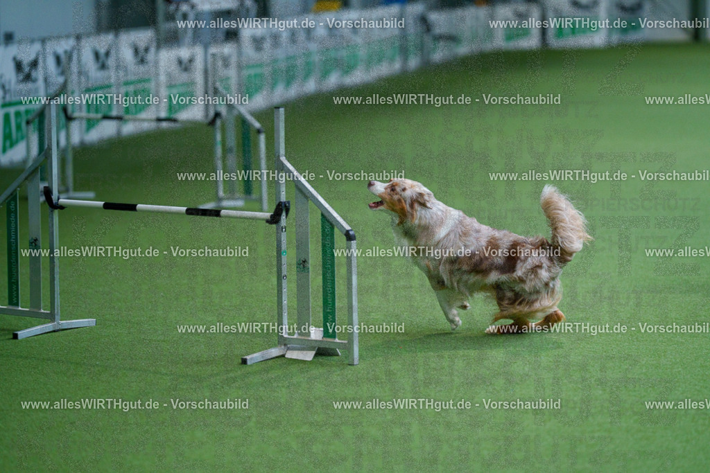 @allesWIRTHgut_Tierfotografie - www.allesWIRTHgut.de - 2604251051-7R500318 | Professionelle Tierfotografie in Mönchengladbach von Daniel Wirth (allesWIRTHgut). Liebevolle & natürliche Bilder von Hunden & Katzen für unvergessliche Erinnerungen.