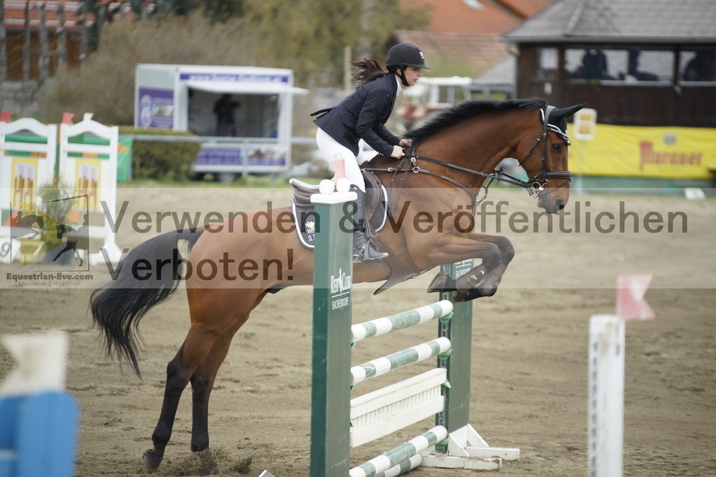 _DSC7346 | equestrian-live-com