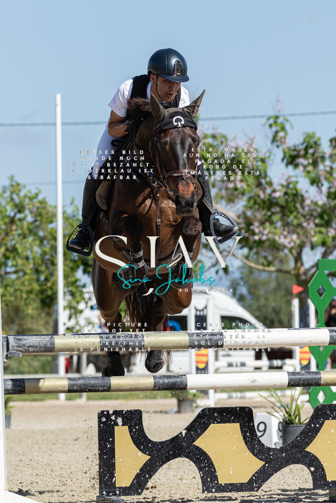 IMG_0937 | s-jay-photography - Realisiert mit Pictrs.com