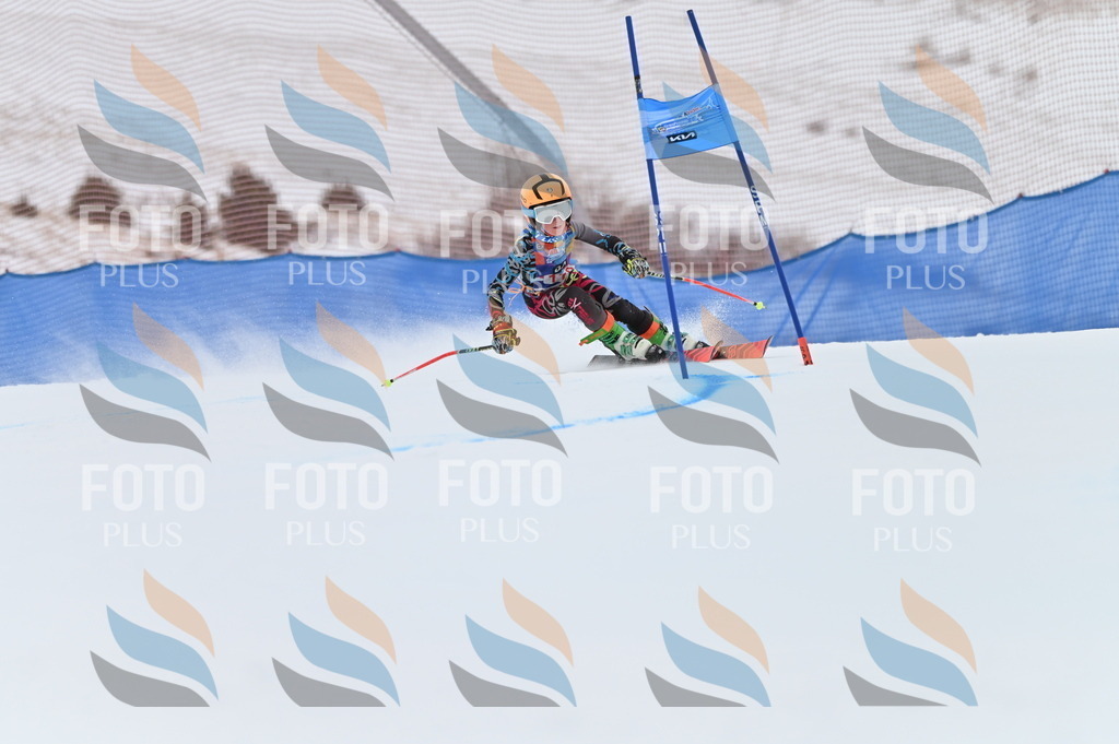 BGV_9789 | holidayphoto