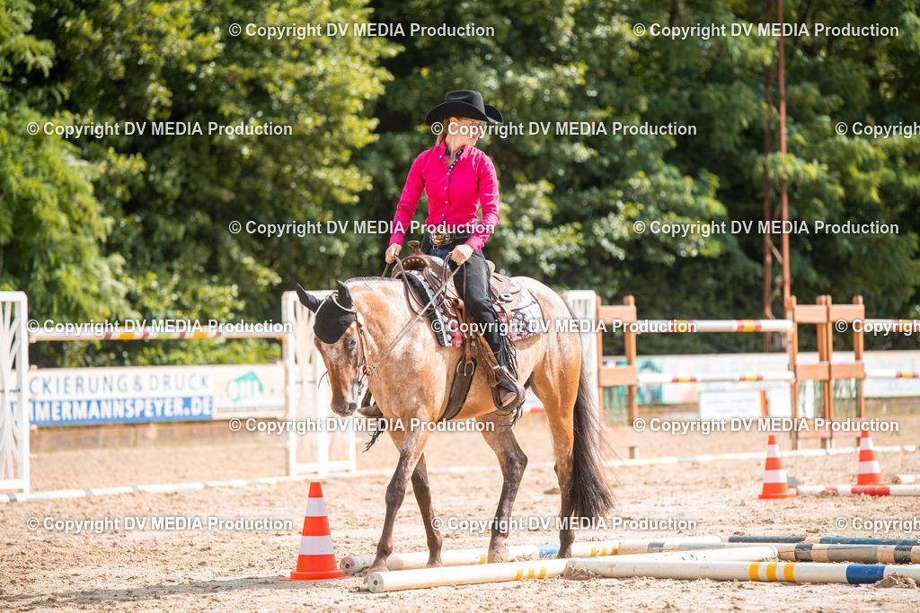 ZS3_9368 | dv-media-shop - Realisiert mit Pictrs.com