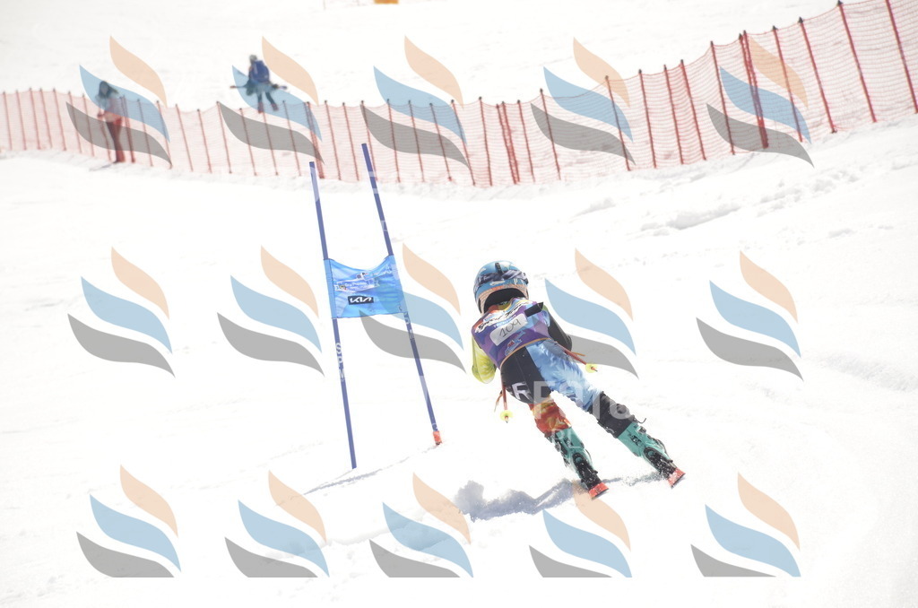 _ELE9463 | holidayphoto