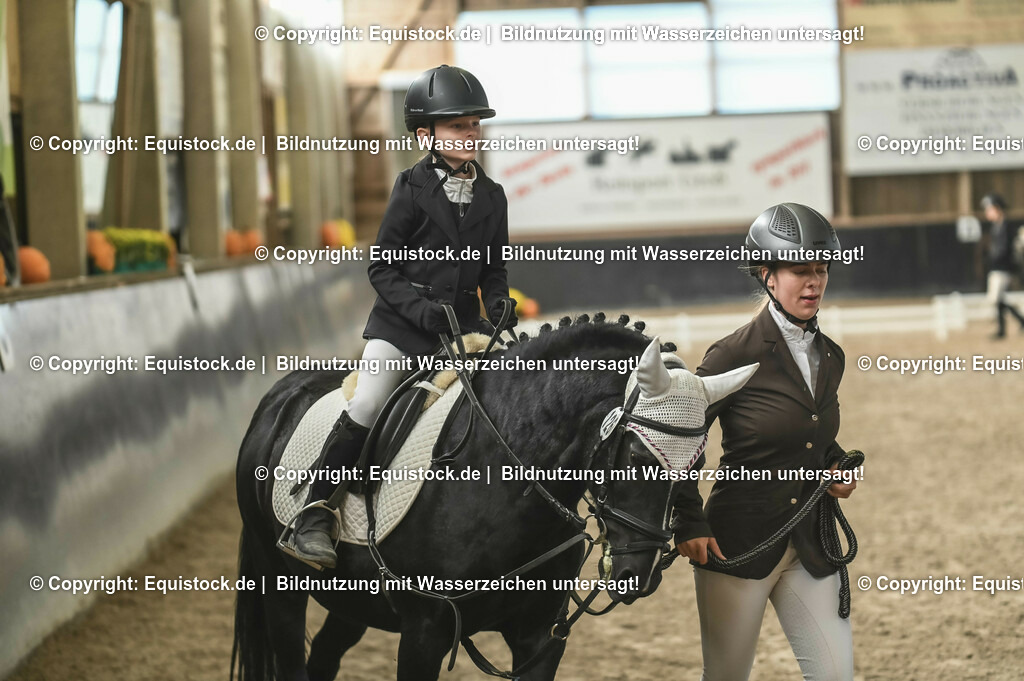 20231029_Führzügel-WB_Abteilung-02_0065 | Foto: Thomas Hartig