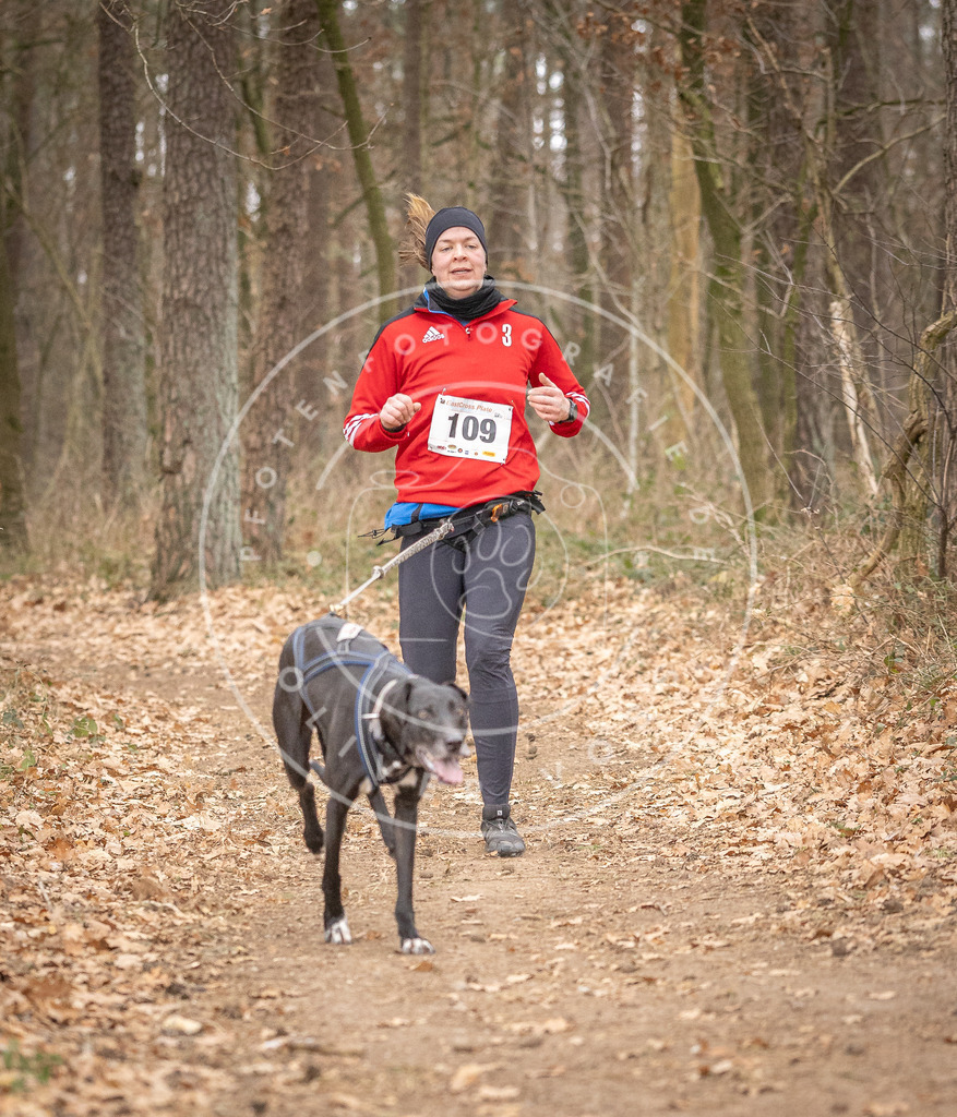 Pfotenfotografie_DV3A7661 | Hundefotografie, Tierfotograf, Pfotenfotografie, Fotoshooting Hund, Hunde Portrait, Hundesport, Hundeportraits, Heideshooting, Hunde, Sportfotograf, Hundefotograf, Turnierhundsport, THS,  - Realisiert mit Pictrs.com