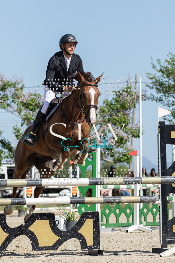 IMG_0864 | s-jay-photography - Realisiert mit Pictrs.com