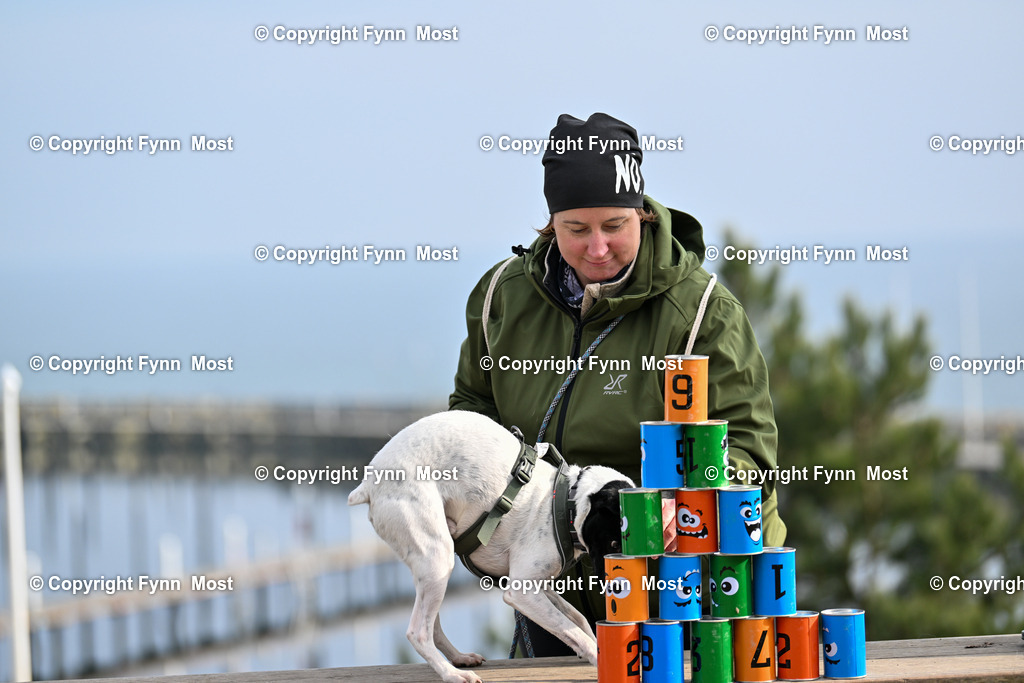 DSC_5230 | Hallo und herzlich Willkommen auf meiner Shop-Seite Fynn Most.

Ich wünsche Dir viel Spaß beim stöbern durch die Bilder, wenn Du Fragen hast oder Bilder vermisst, kannst du mir gerne eine Nachricht schreiben. - Realisiert mit Pictrs.com