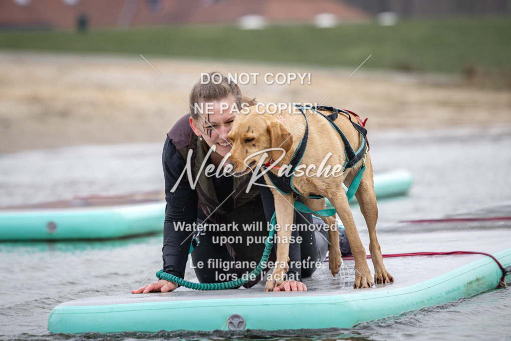 nelerasche_Hulsbeek_Sa1130-1230_438 | nelerasche